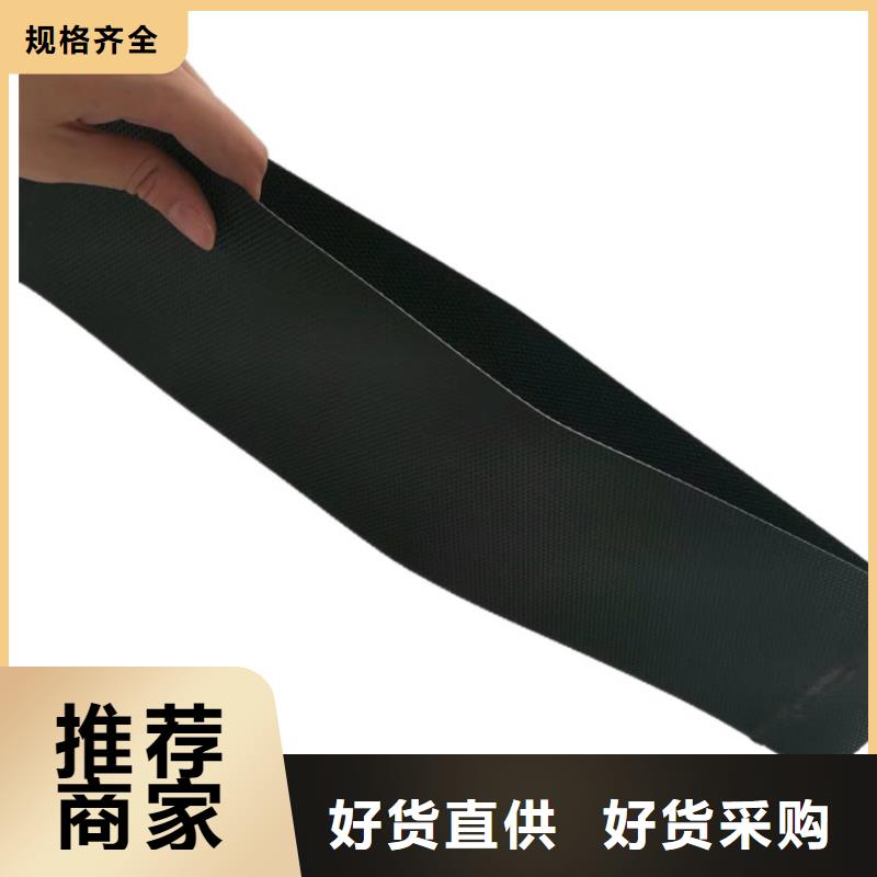 蓬莱 本地 土工格室绿色土工格室实体诚信经营