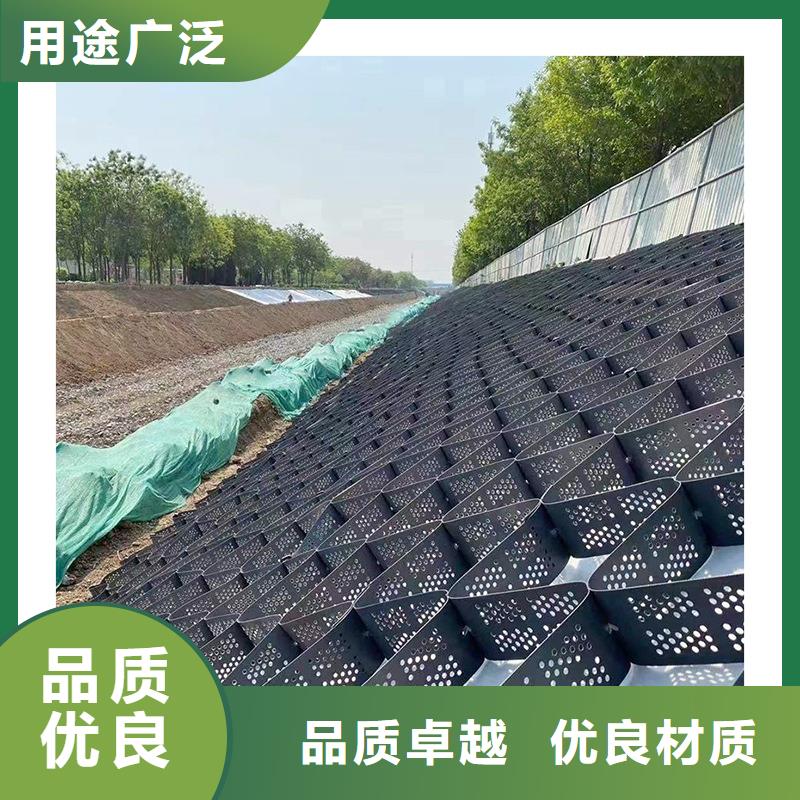 蓬莱 本地 土工格室绿色土工格室实体诚信经营