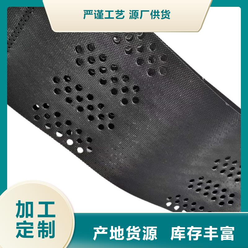 <盘锦> 当地 打孔土工格室工厂直销