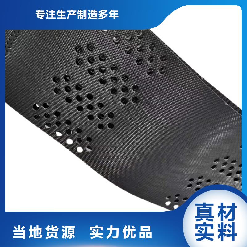 蓬莱【本地】土工格室绿色土工格室实体诚信经营