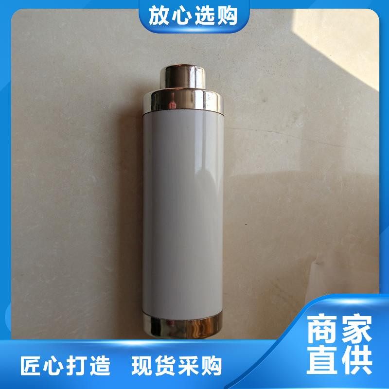 BRW-10/100A双管限流熔断器