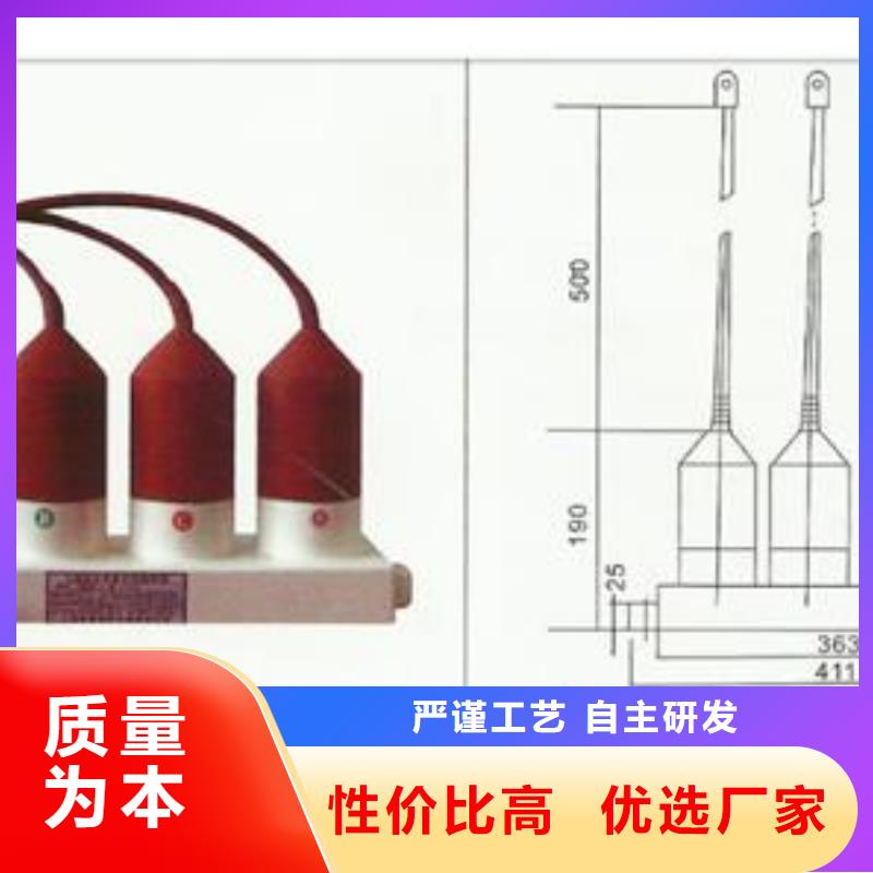 计数器氧化锌避雷器批发质量检测