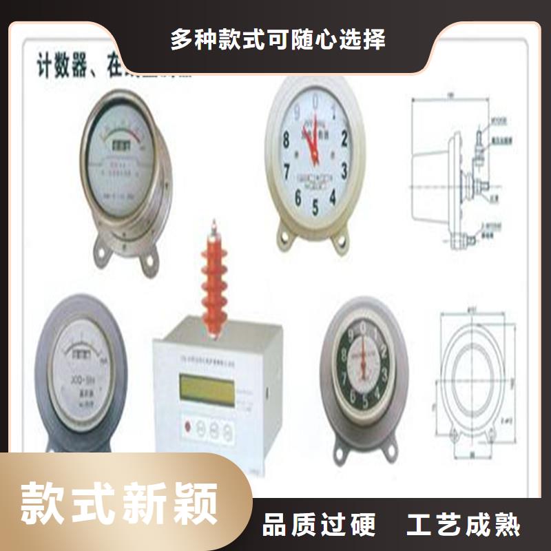 【计数器真空断路器供应品牌大厂家】