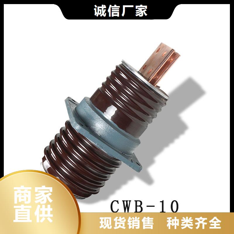 CC-10/600A陶瓷套管