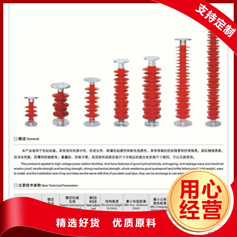 绝缘子_【氧化锌避雷器】型号齐全