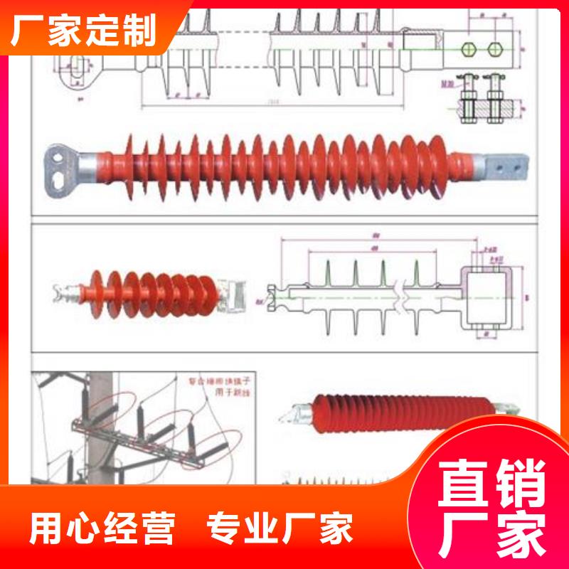 绝缘子_【氧化锌避雷器】型号齐全