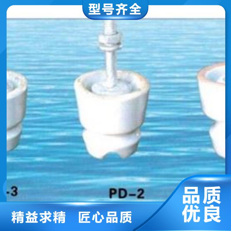 【绝缘子】-高低压电器实力公司