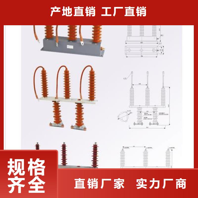 【过电压保护器】绝缘子工厂现货供应