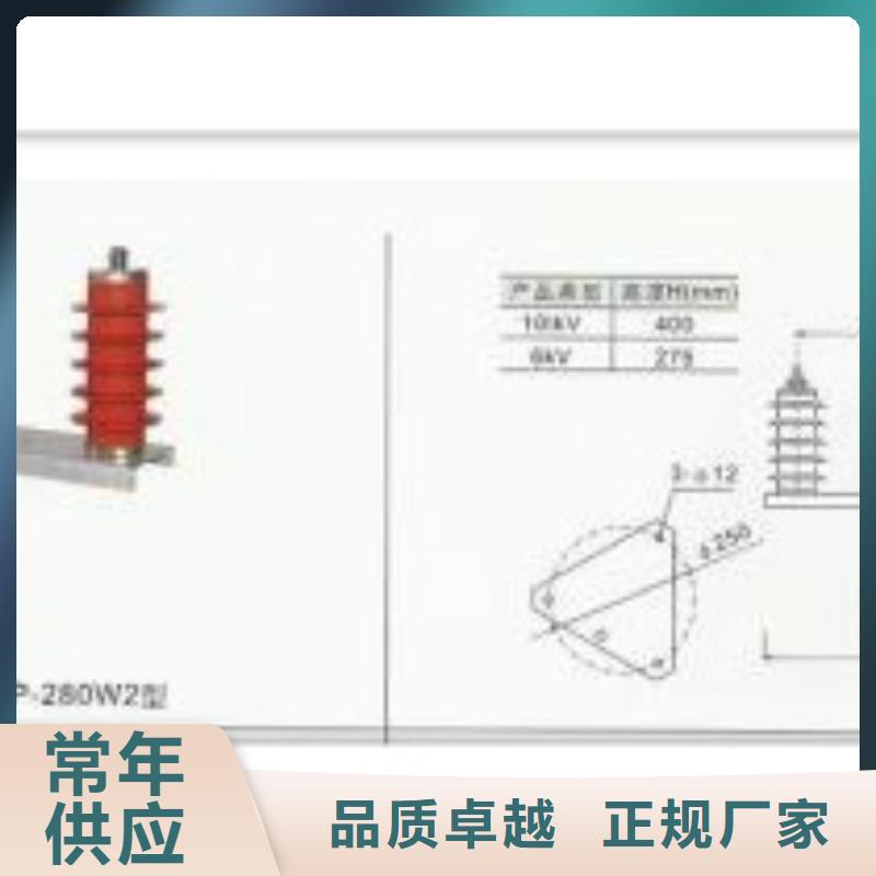 过电压保护器跌落式熔断器厂N年生产经验