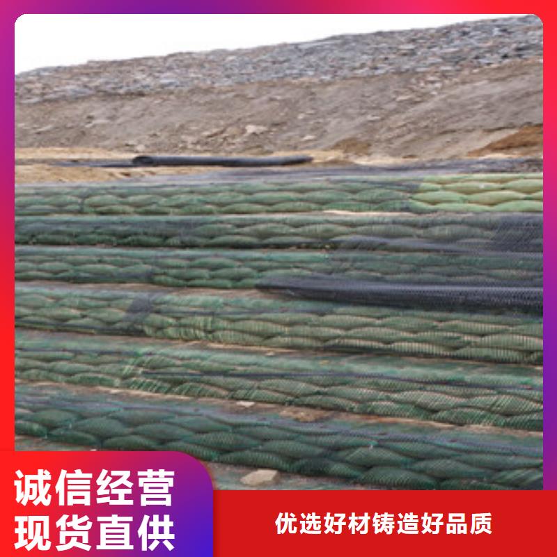 【单向塑料格栅】钢塑土工格栅层层质检