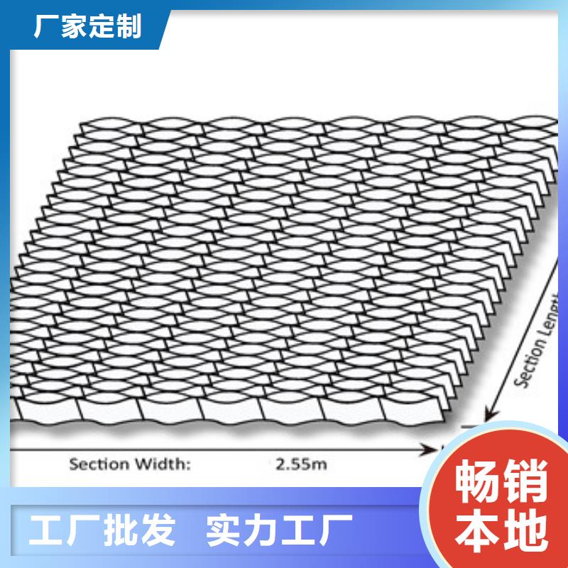 蜂巢格室-塑料格栅实体诚信经营