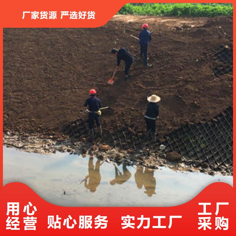 【蜂巢格室】蜂巢格宾网严选用料