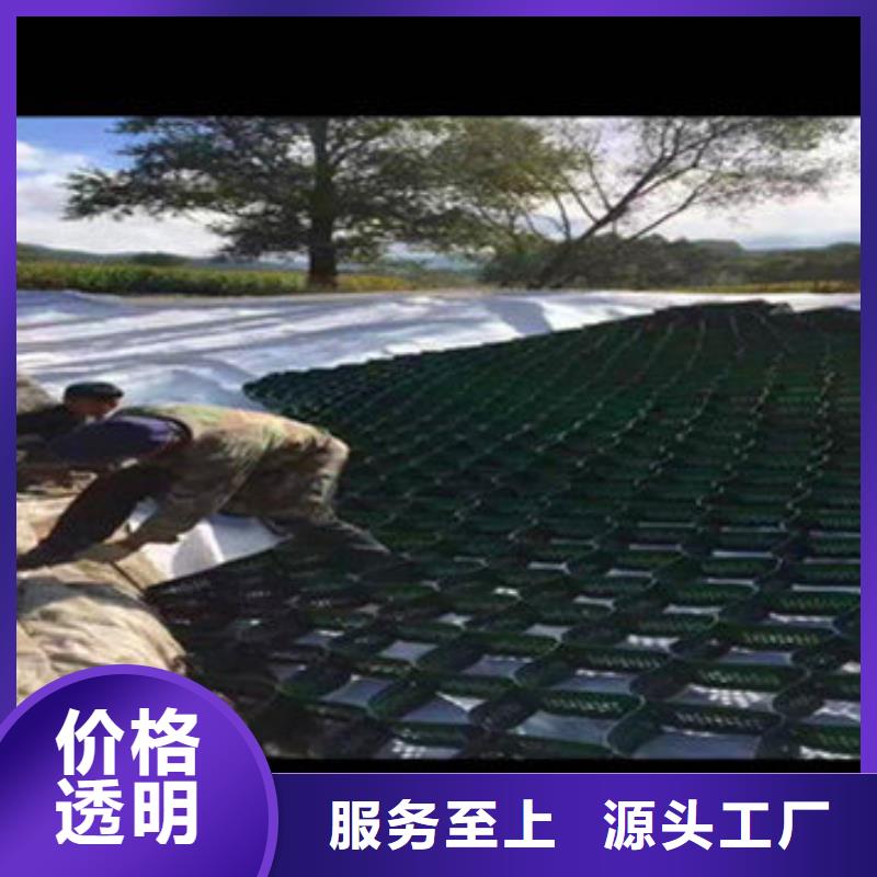 蜂巢格室蜂格网厂家大量现货