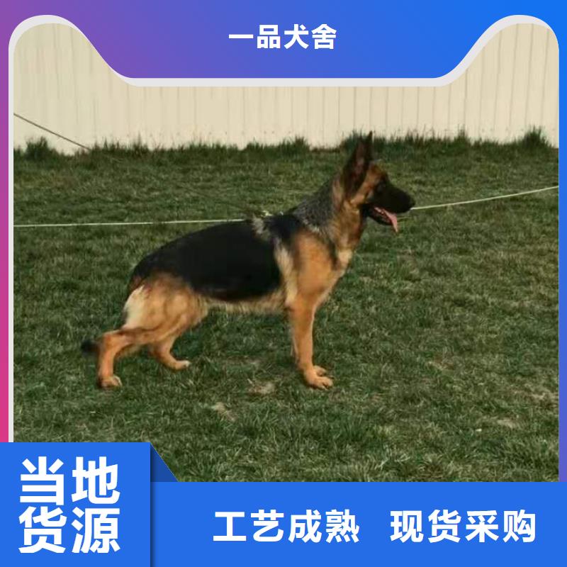 【德国牧羊犬德牧犬定制定做】