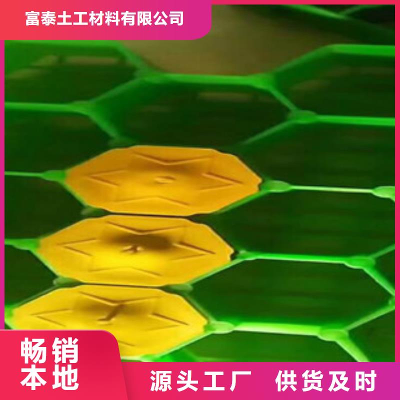 【环保植草格_虹吸排水板厂家一件也发货】