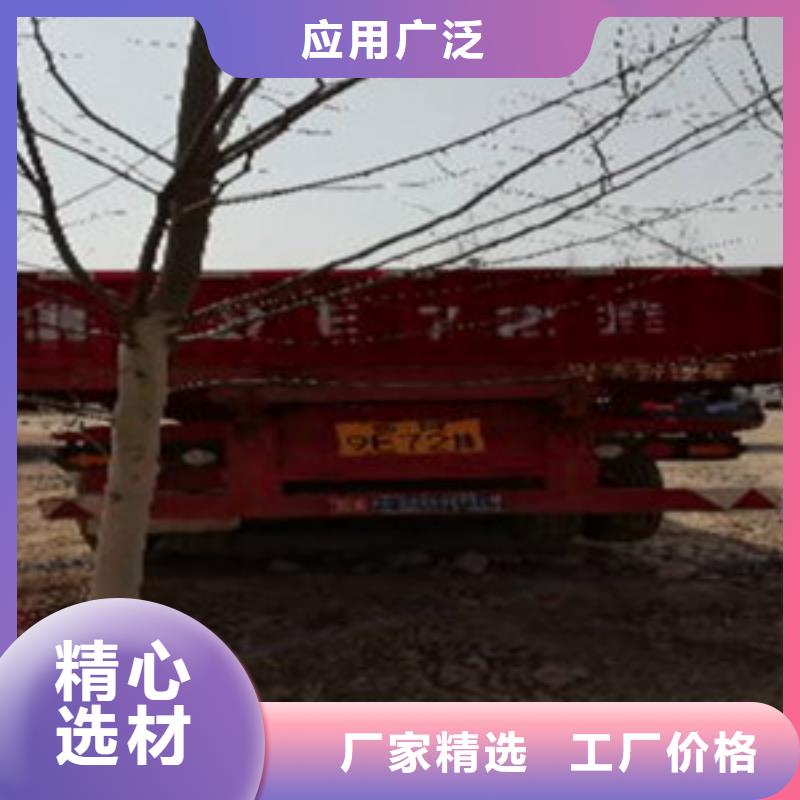 挂车【后翻自卸车】现货