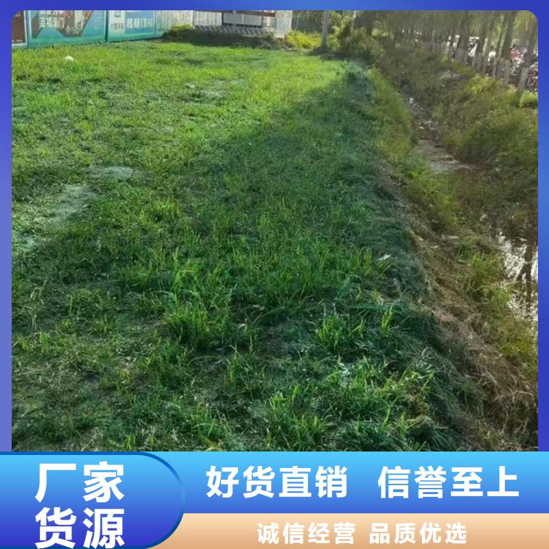 绿色结壳抑尘剂厂家直营