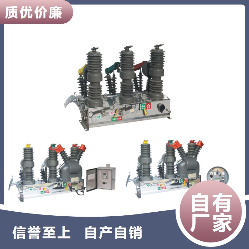 邯郸ZW37-40.5/1250-25真空断路器质量按需设计量大从优真空断路器