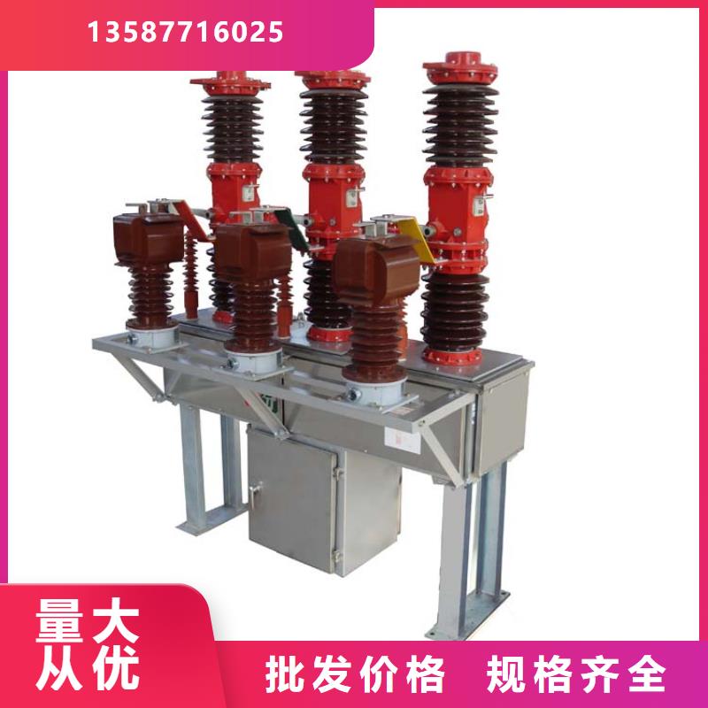 邯郸ZW37-40.5/1250-25真空断路器质量按需设计量大从优真空断路器