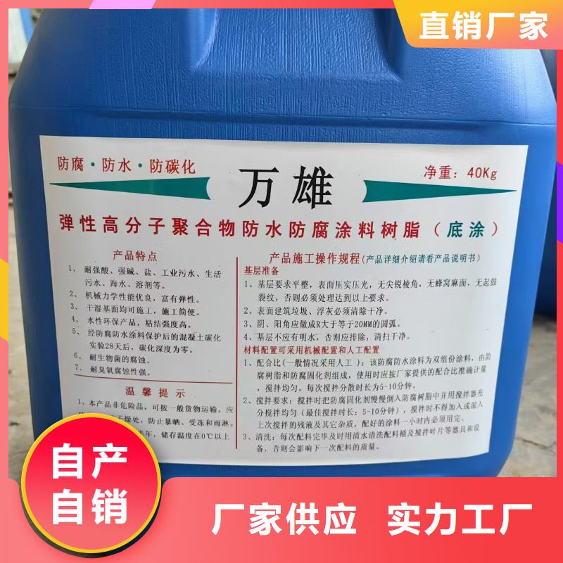 柔性厚浆型乙烯基脂树脂防腐防水涂料畅销本地优选厂商